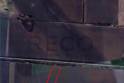 Teren de 9000 mp, în Borș - 1