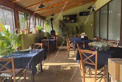 Proprietate specială, de 210 mp, în Lipovei - 10