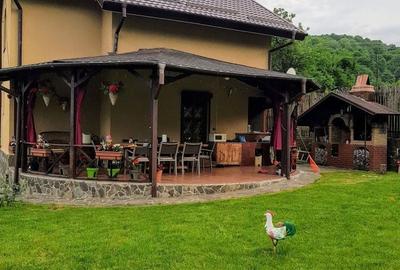 Casă cu 4 camere în Iedera - 6