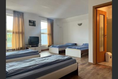 Casă cu 14 camere cu Teren 3883 Mp în Calea Caransebeșului - 11