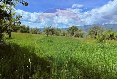 Teren Construcții intravilan de 5565 mp, în Giulești - 2