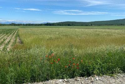 Teren in Galicea, ideal pentru casa sau afacere - 2