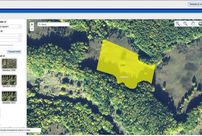 Teren _ 22300mp_brasov_tarlungeni_valea zizinului - 3