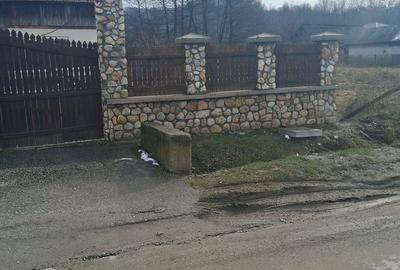 Casă cu 3 camere cu Teren 3000 Mp în Mihăești - 4