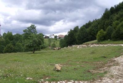 Teren Construcții intravilan de 8000 mp, în Fundata - 6