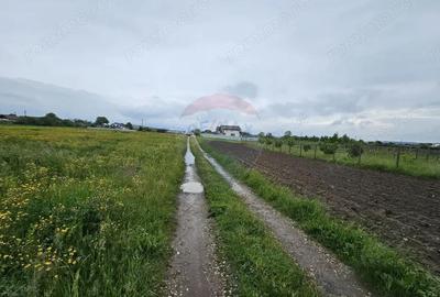 Teren de 1495 mp, în Dobreni - 6