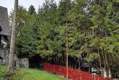 Casă cu 8 camere cu Teren 50 Mp în Furnica - 11