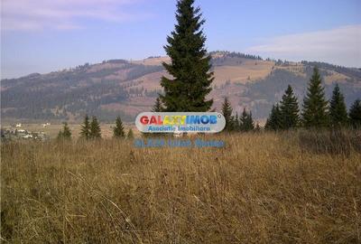 Teren pentru Complex Turistic - 12 730 mp  - Vatra Dornei - 2