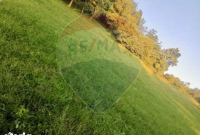 Teren de 6900 mp, în Ocna Șugatag - 6