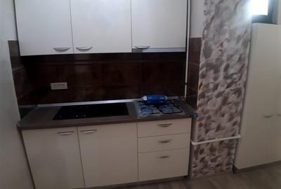 Apartament cu 2 camere semidecomandat, mobilat în Aurel Vlaicu - 8