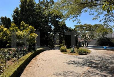 Vila de vanzare, cu 11 camere, 550 mp, zona Bariera Valcii - 2