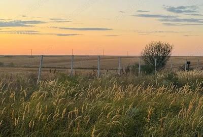 Teren de 6666 mp, în Alioș - 6