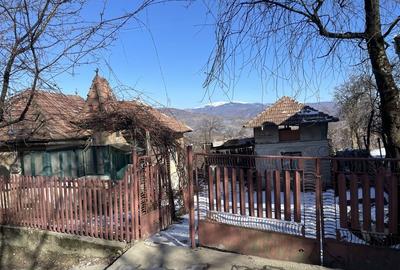 Casă cu 3 camere în Văleni-Dâmbovița - 2