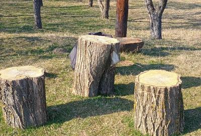 Casă cu 4 camere cu Teren 2500 Mp în Central - 1