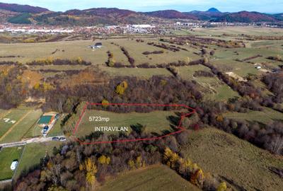 Teren intravilan 5723mp Zarnesti Tohanita- case de vacanta,investitie in turism - 2