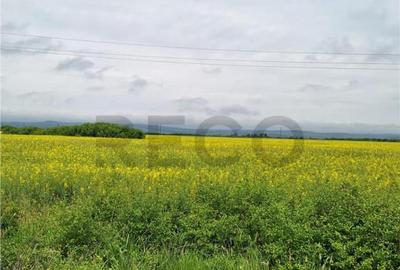 Reco, teren intravila la E60 sacadat - 1