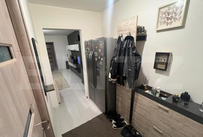 Apartament cu 3 camere semidecomandat, mobilat în Brazda lui Novac