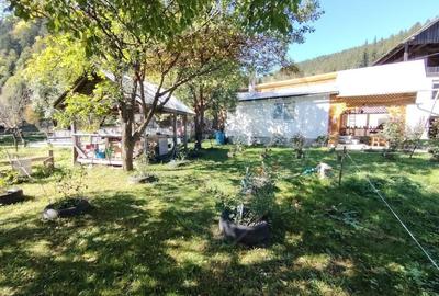 Casa in Vatra Dornei, zona Argestru, cu 11.541m.p. TEREN INTRAVILAN - 12