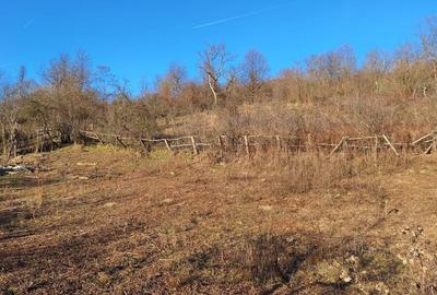 Casa de vanzare Malureni-Bunesti-Arges - 7
