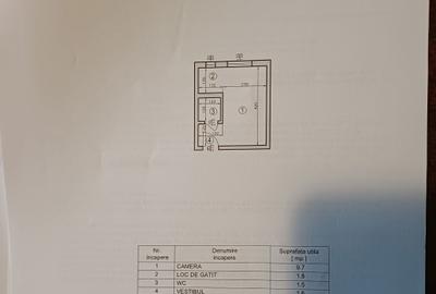 Garsonieră semidecomandată în Baicului - 11