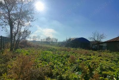 Teren de 2000 mp, în Topolog - 10