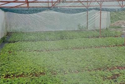 Spațiu comercial, de 1,300 mp, în Blăjenii de Sus - 13