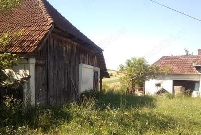 Casă cu 3 camere în Băsești - 1