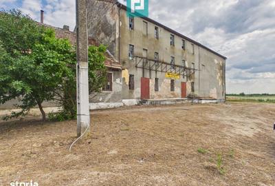 Spațiu comercial, de 750 mp, în Secusigiu - 2