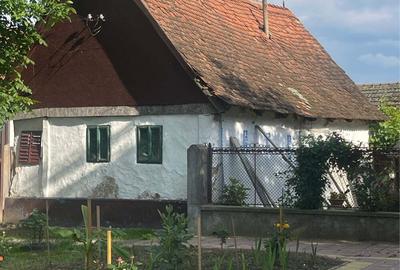 Casă cu 2 camere în Ineu - 1