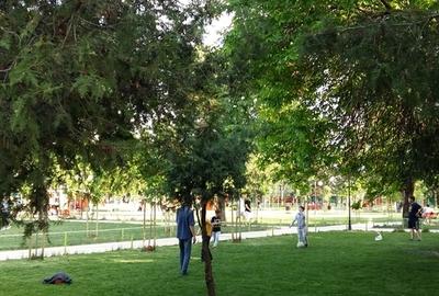 Garsonieră semidecomandată în Sălaj - 5