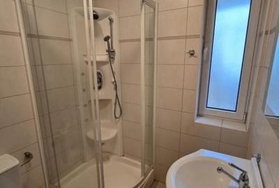 Apartament pe 2 etaje si curte de 187 mp HERASTRAU - 3