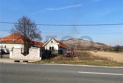 RECO Teren intravilan in Uileacul de Cris 3544mp - 1