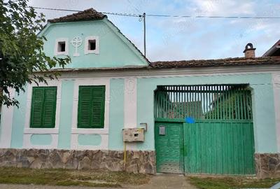 Casă cu 3 camere cu Teren 913 Mp în Daneș - 8