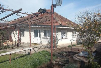 Casă cu Teren 1260 Mp în Muntenii de Jos - 10