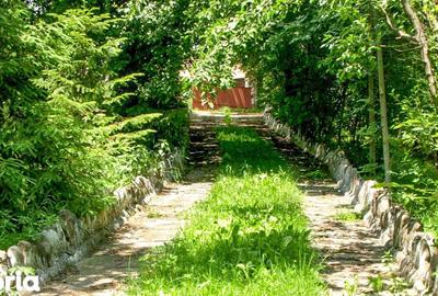Teren de 14000 mp, în Mihai Viteazu - 5