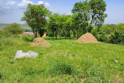 Spațiu comercial, în Central - 2