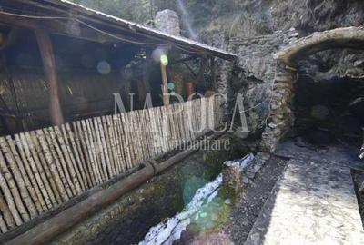 Casa 9 camere de vanzare in Sat Cerc, Valea Ierii - 14