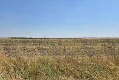 Teren de 4300 mp, în Smârdioasa - 7