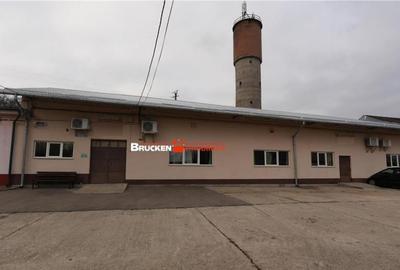 Hala de inchiriat in Marghita - 12