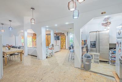 Casa de vacanta spatioasa cu priveliste spectaculoasa in Tocile - 16