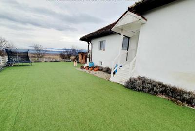 Inchiriere casa cocheta, situata in Tetila (Curti?oara Go - 4