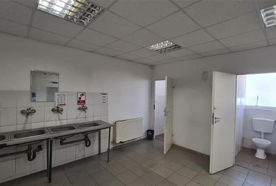 Hala industriala Timisoara, 2500 - 7500 mp , Calea Sagului - 10