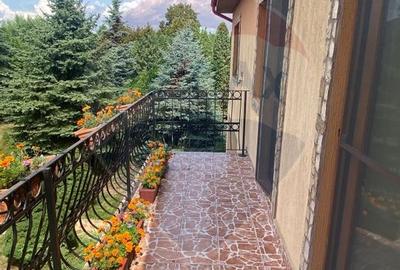 DE VANZARE Vila de vacanta in Pucioasa /Dambovita - 34