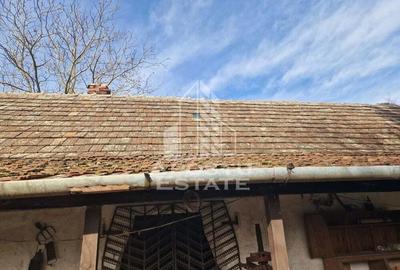 Casa individuala cu 3 camere ,teren 4222 mp in exclusivitate Dorobanti - 9