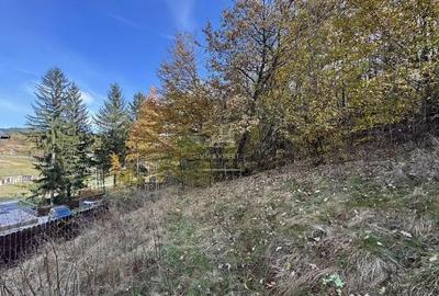 Teren de 13167 mp, în Bughea de Sus - 8