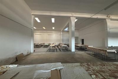 Complex industrial 30130  mp construit - Teren 42558 mp - 10