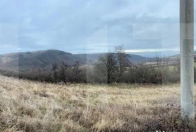 Teren de 4300 mp, în Vințu de Jos - 2