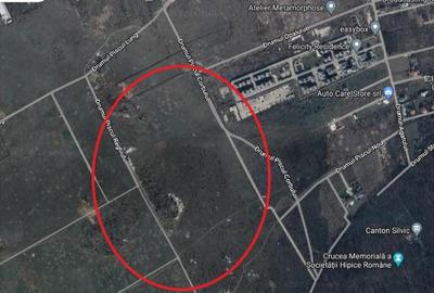 Teren Sisesti Piscu Reghiului 2500 mp New 2025 - 1