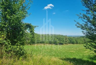 EXCLUSIVITATE! Teren la șoseaua principală | Tocile - 2