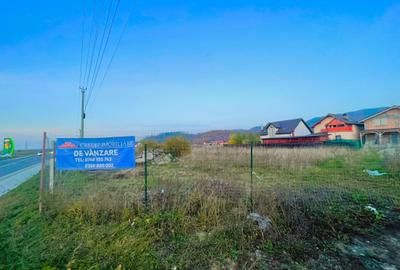 Teren DN73 Rasnov 1441mp! - 3